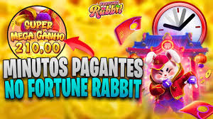 rabbit 2019 fortune